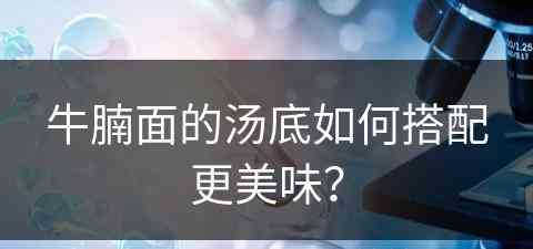 牛腩面的汤底如何搭配更美味？
